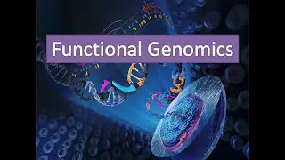 Functional Genomics