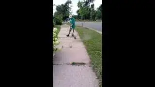 Lawn Care Service Minneapolis, MN