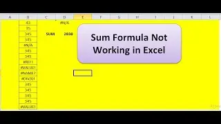 Sum Formula Not Working in Excel in Error #excelfunction #Excel #msoffice #sumifs #sumif