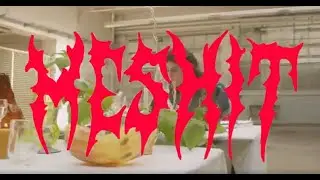15 YEARS MESHIT
