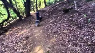 Hood Mountain Summit in under 8 minutes