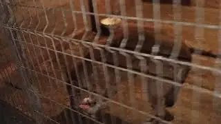 Всех С Наступающим Новым Годом 🫶🥰👋