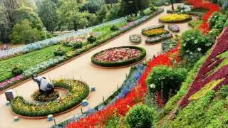 Rose Garden, Kerala, India