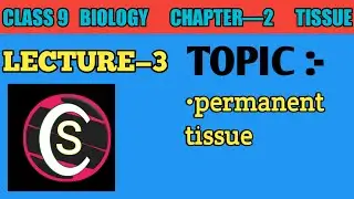 CLASS 9 BIOLOGY| chapter 2 |lecture3| permanent tissue | #tissue  #cellclass9#class9biology