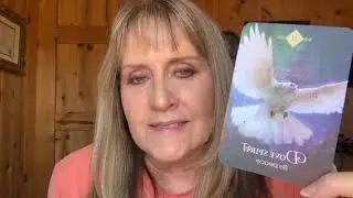 Mid-Week Animal Messages & Guidance: October 1st