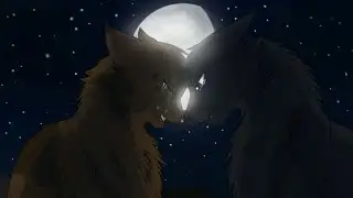 Warrior cats  starclan/sternenclan