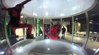 Shitfly