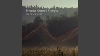 Sun Glare