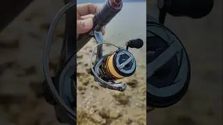 215 grams Ajing Setup