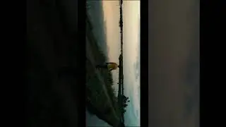 beauty of kadamakudy,kerala
