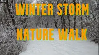 Maine Winter Storm Nature Walk