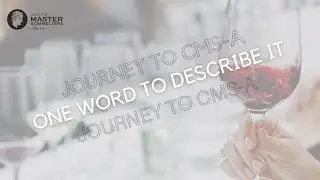 1 Word To Describe Master Sommelier Journey - Robert Jones, MS: Court of Master Sommeliers, Americas