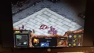 Original Starcaft 1- Zerg 2 egression how to move the chrysalis to the beacon