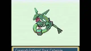 Micromon Adventures - Caterpie evolves into Rayquaza