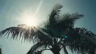 Sony FX30 | Ocean Loops