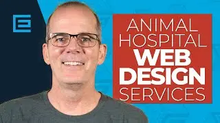 Web Design Services for Modern Animal Hospitals