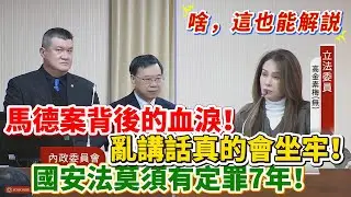 【解說】馬德案背後的血淚！亂講話真的會坐牢！國安法莫須有定罪7年！｜立法院質詢｜高金素梅