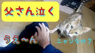 首噛まれて泣いた父