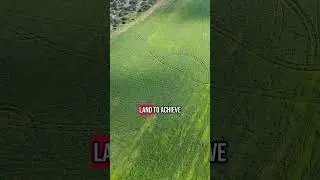 Hawaii Billionaire Farm