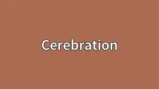 Cerebration Meaning