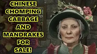 How To Get Chinese Chomping Cabbage - How To Get Mandrake