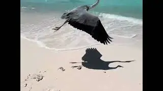 Maledives Filitheyo 2025