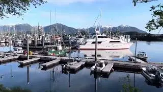 Beautiful Crescent Harbor in Sitka Alaska! Walk with me. #crescentharbor #alaska
