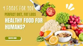 How to Create a Healthy Plate?