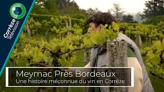 Meymac Près Bordeaux : une histoire méconnue du vin en Corrèze