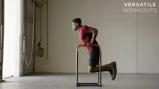 Sunny Health & Fitness High Weight Capacity Adjustable Dip Stand Station - SF-XF9937