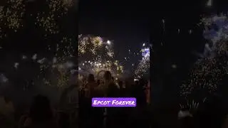 #waltdisneyworld #disney #epcot #epcotforever #fireworks #disneyfireworks #figment #shorts #short