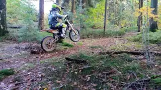 Autumn forest ride - MRM Edirt