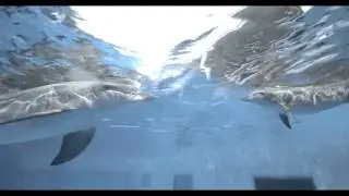 Rocket Science VFX Dolphin Tale 2 Reel
