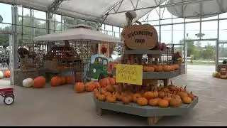 Stuckmeyer's offers one of the best hayrides in St. Louis