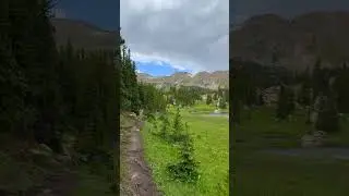 Wandering Into a Colorado Meadow | Rocky Mountain Escape