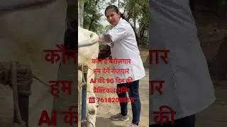 #farmer #animaldoctor #agriculture #animalhospital #veterinary #rojgar #डेयरी