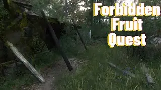Как выполнить квест &laquo;Запретный плод&raquo; в Kingdom Come Deliverance 2