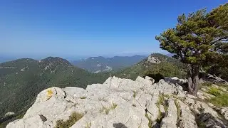 Tossa d&rsquo;Espinau (100 cims), Lliurona i Roure dels Capellans des del coll d&rsquo;Espinau