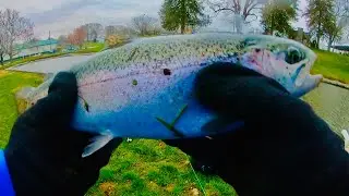 Catching RAINBOW TROUT - Opening Day Trout Season In Illinois