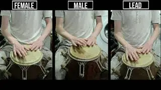 MEDIUM - Kpanlogo drum parts