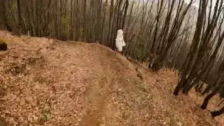 Variko florinas gogo trail
