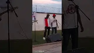 Concert zk mitendo
