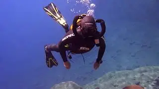 Vintage Scuba Royal Mistral 2017