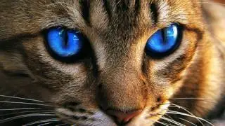 DISCO REMIX - Magic Blue Eyes - Maxi Version 2017