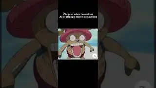 When chopper finds out abt Usopp&rsquo;s  lies