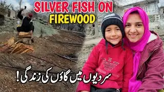 Real Village Life in Winter 🦈🥶 | Traditional Silver Fish Fry on Firewood 😋| Village Life Vlog Gilgit