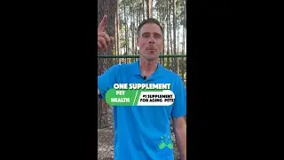 Best Supplements for Senior Pets