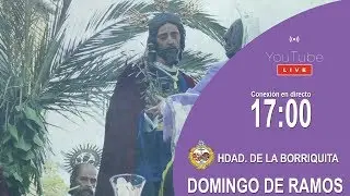 🔴 DOMINGO DE RAMOS | ENTRADA HDAD. DE LA BORRIQUITA