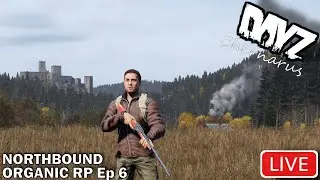 Surviving DayZ's Newest Jam-Packed Server! LIVE on Chernarus