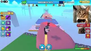 Roblox Skate Obby | World 23 Speedrun (Default skate and any skate)